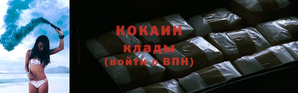 прущий лед Алзамай