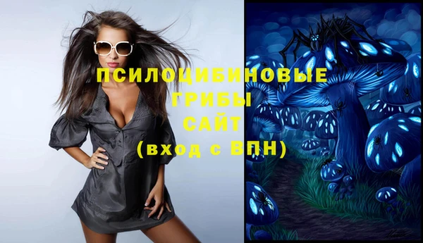 прущий лед Алзамай